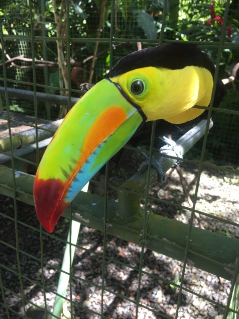 John-costa rica-image 4