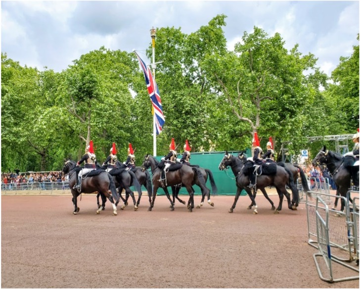 Many horses mounted by British guards walk down a brown street.